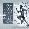 The importance of cla in reducing oxidative stress during exercise