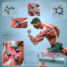 Ezetimibe's role in reducing post-workout muscle inflammation